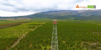 Aglomerados Cotopaxi reduce en más del 90% el impacto de los incendios forestales