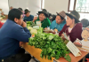 Riobamba impulsó comercialización directa con la Primera Rueda de Negocios entre productores Esta semana, la ciudad de Riobamba fue escenario de la Primera Rueda de Negocios entre productores de la Agricultura Familiar Campesina (AFC) y las Organizaciones de Economía Popular y Solidaria (OEPS), una iniciativa que busca dinamizar la economía rural, fortalecer los encadenamientos productivos y consolidar vínculos comerciales directos.