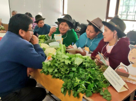 Esta semana, la ciudad de Riobamba fue escenario de la Primera Rueda de Negocios entre productores de la Agricultura Familiar Campesina (AFC) y las Organizaciones de Economía Popular y Solidaria (OEPS), una iniciativa que busca dinamizar la economía rural, fortalecer los encadenamientos productivos y consolidar vínculos comerciales directos.