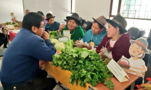 Esta semana, la ciudad de Riobamba fue escenario de la Primera Rueda de Negocios entre productores de la Agricultura Familiar Campesina (AFC) y las Organizaciones de Economía Popular y Solidaria (OEPS), una iniciativa que busca dinamizar la economía rural, fortalecer los encadenamientos productivos y consolidar vínculos comerciales directos.