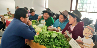 Esta semana, la ciudad de Riobamba fue escenario de la Primera Rueda de Negocios entre productores de la Agricultura Familiar Campesina (AFC) y las Organizaciones de Economía Popular y Solidaria (OEPS), una iniciativa que busca dinamizar la economía rural, fortalecer los encadenamientos productivos y consolidar vínculos comerciales directos.