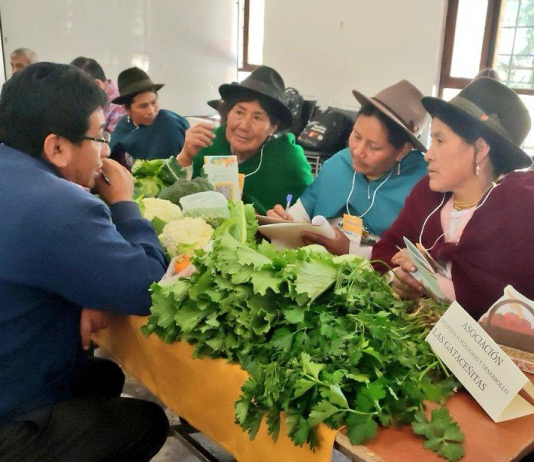 Esta semana, la ciudad de Riobamba fue escenario de la Primera Rueda de Negocios entre productores de la Agricultura Familiar Campesina (AFC) y las Organizaciones de Economía Popular y Solidaria (OEPS), una iniciativa que busca dinamizar la economía rural, fortalecer los encadenamientos productivos y consolidar vínculos comerciales directos.
