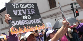 El día Internacional por la Erradicación de la Violencia contra las Mujeres llegó a Ecuador sumido en una ola de crímenes extremos. El femicidio de la universitaria Alison Altamirano, en Tungurahua, volvió a evidenciar patrones de brutalidad nunca antes registrados. El 2025 cierra su penúltimo mes con una cifra que hiela la sangre y desnuda la grieta social más profunda del Ecuador: 349 femicidios cometidos entre el 1 de enero y el 15 de noviembre, según la Alianza Feminista para el Mapeo de los Femicidios.