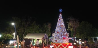 El Gobierno ecuatoriano anunció cómo se organizarán los feriados de Navidad y Año Nuevo, según informó el ministro de Trabajo, Harold Burbano, este 27 de noviembre. Aunque la decisión oficial aún debe ser ratificada mediante decreto presidencial, ya se conocen los lineamientos generales para los últimos y primeros días de descanso del periodo 2025-2026.