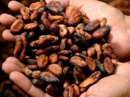 A través de un boletín difundido por el Ministerio de Producción, Comercio Exterior e Inversiones (MPCEI), con fecha del 15 de noviembre de 2025, se informa que Estados Unidos modificó su esquema de aranceles recíprocos e incluye 105 productos de origen ecuatoriano para la eliminación inmediata de sobre tasa del 15%.