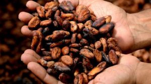 A través de un boletín difundido por el Ministerio de Producción, Comercio Exterior e Inversiones (MPCEI), con fecha del 15 de noviembre de 2025, se informa que Estados Unidos modificó su esquema de aranceles recíprocos e incluye 105 productos de origen ecuatoriano para la eliminación inmediata de sobre tasa del 15%.