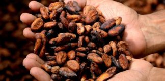 A través de un boletín difundido por el Ministerio de Producción, Comercio Exterior e Inversiones (MPCEI), con fecha del 15 de noviembre de 2025, se informa que Estados Unidos modificó su esquema de aranceles recíprocos e incluye 105 productos de origen ecuatoriano para la eliminación inmediata de sobre tasa del 15%.