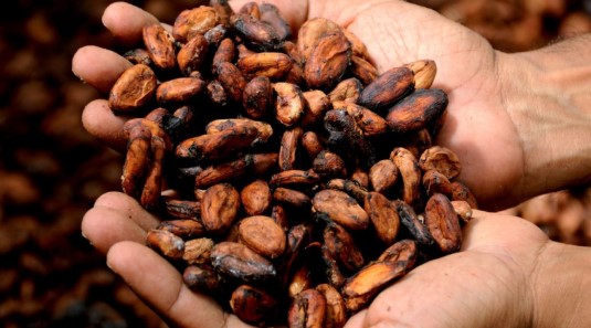 A través de un boletín difundido por el Ministerio de Producción, Comercio Exterior e Inversiones (MPCEI), con fecha del 15 de noviembre de 2025, se informa que Estados Unidos modificó su esquema de aranceles recíprocos e incluye 105 productos de origen ecuatoriano para la eliminación inmediata de sobre tasa del 15%.