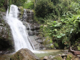 El encanto natural y la hospitalidad de la parroquia Balsapamba, en la provincia de Bolívar, se preparan para recibir a turistas locales y nacionales durante este feriado, ofreciendo una experiencia única de turismo rural, aventura y gastronomía tradicional.