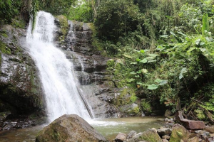 El encanto natural y la hospitalidad de la parroquia Balsapamba, en la provincia de Bolívar, se preparan para recibir a turistas locales y nacionales durante este feriado, ofreciendo una experiencia única de turismo rural, aventura y gastronomía tradicional.
