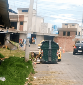 Un diagnóstico reciente de la Comisión de Ambiente, Salubridad e Higiene del Concejo Municipal revela una situación crítica: 952 de los 1.120 contenedores instalados en Riobamba requieren mantenimiento urgente. El deterioro del 85% de estos equipos compromete la salubridad urbana y refleja la necesidad de una intervención inmediata en el sistema de manejo de residuos.