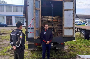 La provincia de Chimborazo fue escenario de un operativo ambiental que dejó al descubierto una presunta actividad de tala y transporte ilegal de madera. Personal especializado de la Unidad de Protección del Medio Ambiente (UPMA) de la Policía Nacional del Ecuador ejecutó una intervención que permitió la retención de más de 9.150 metros cúbicos de producto forestal de pino, cuyo origen no pudo ser justificado por los responsables del cargamento.