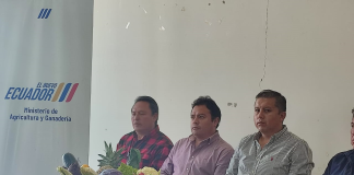 En el marco de la celebración por los 205 años de Emancipación Política de Riobamba, la Empresa Pública Mercado de Mayoristas de Riobamba (EP-EMMPA) realizó una rueda de prensa para anunciar oficialmente la Feria Mayorista Jatun Raymi, un evento que busca fortalecer la producción local, incentivar el comercio justo y ofrecer espacios de encuentro entre productores y consumidores.