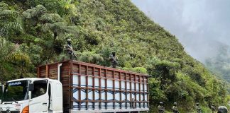 Operaciones permite incautar madera ilegal de un camión