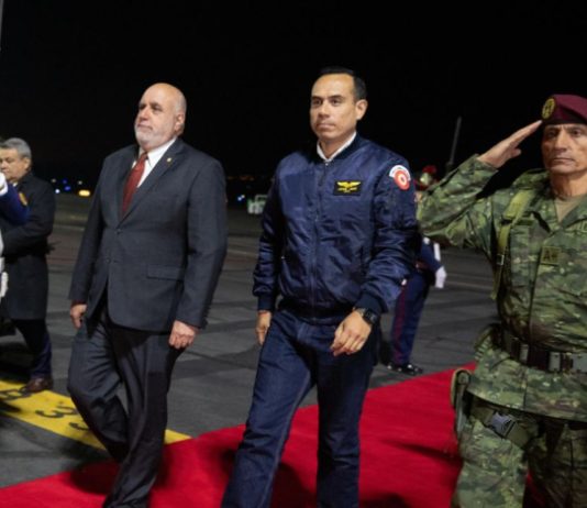 El presidente de Ecuador, Daniel Noboa, y su homólogo peruano, José Pedro Castillo, se reunieron este lunes en un encuentro histórico que busca fortalecer los lazos políticos, económicos y sociales entre ambos países. Durante la cita, se acordó la formación de un gabinete binacional, cuyo objetivo es mejorar la cooperación en temas clave como seguridad, comercio, medio ambiente, y lucha contra el crimen organizado.