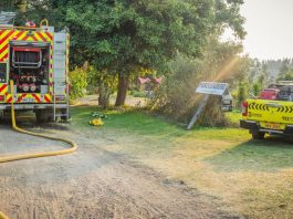 Un incendio forestal registrado en el sector San Clemente, en la zona noreste de Riobamba, generó la movilización del Cuerpo de Bomberos, luego de que las llamas avanzaran por una pendiente con dirección a una vivienda de construcción mixta, considerada vulnerable por su combinación de materiales inflamables. El siniestro activó una alerta comunitaria y obligó a establecer un perímetro de seguridad mientras se desplegaban las labores de control.