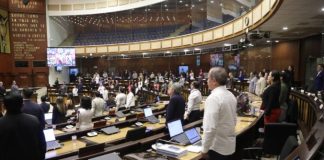 El Consejo de Administración Legislativa (CAL) dispuso la apertura de una investigación sobre seis legisladores de la Revolución Ciudadana (RC) por una presunta extralimitación en sus funciones durante una visita al Hospital Pediátrico Baca Ortiz de Quito. La resolución se tomó el lunes 1 de diciembre de 2025, luego del pedido formal de la gerente de esa casa de salud, Frances Fuenmayor.