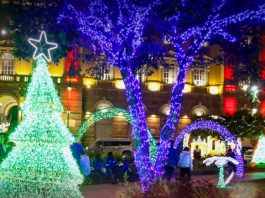 La magia de la Navidad volvió a brillar en el corazón de Riobamba. La noche de este 12 de diciembre, el Parque Sucre fue el escenario del esperado Encendido Navideño 2025, organizado por la Empresa Eléctrica Riobamba S.A. (EERSA), un evento que reunió a familias, artistas y autoridades en una velada cargada de luz, música, cultura y emoción.