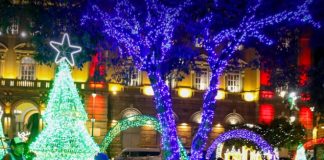La magia de la Navidad volvió a brillar en el corazón de Riobamba. La noche de este 12 de diciembre, el Parque Sucre fue el escenario del esperado Encendido Navideño 2025, organizado por la Empresa Eléctrica Riobamba S.A. (EERSA), un evento que reunió a familias, artistas y autoridades en una velada cargada de luz, música, cultura y emoción.