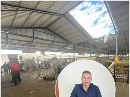 Un fuerte e inusual episodio de vientos huracanados obligó a una intervención en el Mercado de Productores Agrícolas San Pedro de Riobamba (EP-EMMPA). El clima, registrado el pasado fin de semana desprendió parte de la cubierta de la nave donde funciona la sección de cebolla colorada. Para evitar riesgos, la administración dispuso la reubicación temporal de los comerciantes.