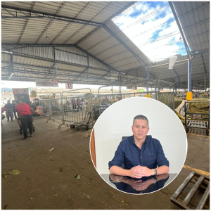 Un fuerte e inusual episodio de vientos huracanados obligó a una intervención en el Mercado de Productores Agrícolas San Pedro de Riobamba (EP-EMMPA). El clima, registrado el pasado fin de semana desprendió parte de la cubierta de la nave donde funciona la sección de cebolla colorada. Para evitar riesgos, la administración dispuso la reubicación temporal de los comerciantes.