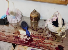 La tarde del 1 de diciembre de 2025, un incidente violento registrado dentro de una vivienda del barrio Los Pinos, en la intersección de las calles Los Arrayanes y Olivos, movilizó a unidades policiales, de emergencia y posteriormente a equipos de criminalística. El caso dejó un hombre fallecido y una mujer herida, y actualmente es investigado por la Fiscalía debido a la complejidad de la escena y la falta de una secuencia clara de los hechos.