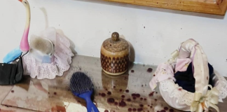 La tarde del 1 de diciembre de 2025, un incidente violento registrado dentro de una vivienda del barrio Los Pinos, en la intersección de las calles Los Arrayanes y Olivos, movilizó a unidades policiales, de emergencia y posteriormente a equipos de criminalística. El caso dejó un hombre fallecido y una mujer herida, y actualmente es investigado por la Fiscalía debido a la complejidad de la escena y la falta de una secuencia clara de los hechos.