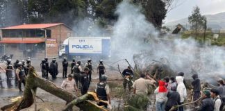 La Confederación de Nacionalidades Indígenas del Ecuador (Conaie), la organización social más grande del país, lamentó la muerte de Edison Farinango, quien fue herido durante las protestas contra la eliminación del subsidio al diésel y otros reclamos que se realizaron entre septiembre y octubre del 2025.