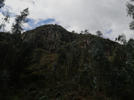La inseguridad volvió a irrumpir en uno de los espacios naturales más frecuentados por deportistas y excursionistas de la ciudad. Cinco personas que realizaban senderismo en el cerro Cachaguay fueron víctimas de un violento asalto perpetrado por sujetos armados y encapuchados, en un hecho que ha generado alarma ciudadana y reabierto el debate sobre la falta de control en zonas de entrenamiento al aire libre.