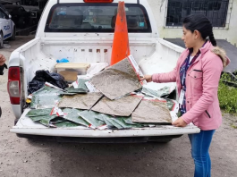 Un operativo de la Unidad de Protección del Medio Ambiente (UPMA), realizado este 4 de diciembre, en coordinación con autoridades competentes, dejó al descubierto la persistente venta ilegal de musgo en el mercado La Merced, uno de los puntos comerciales más concurridos de la ciudad. En la intervención se decomisaron 10 kilos de este material vegetal, cuya extracción está prohibida en Ecuador.