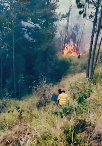 Un incendio forestal registrado este 5 de diciembre en la parroquia Cacha, puso en alerta a las comunidades de la zona y movilizó a varias unidades especializadas del Cuerpo de Bomberos de Riobamba. El siniestro, que inició en horas de la mañana y se extendió rápidamente por la vegetación seca del sector, obligó a los equipos de emergencia a desplegar un operativo que se prolongó por varias horas.
