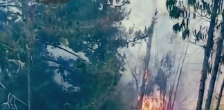 Un incendio forestal registrado este 5 de diciembre en la parroquia Cacha, puso en alerta a las comunidades de la zona y movilizó a varias unidades especializadas del Cuerpo de Bomberos de Riobamba. El siniestro, que inició en horas de la mañana y se extendió rápidamente por la vegetación seca del sector, obligó a los equipos de emergencia a desplegar un operativo que se prolongó por varias horas.