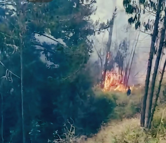 Un incendio forestal registrado este 5 de diciembre en la parroquia Cacha, puso en alerta a las comunidades de la zona y movilizó a varias unidades especializadas del Cuerpo de Bomberos de Riobamba. El siniestro, que inició en horas de la mañana y se extendió rápidamente por la vegetación seca del sector, obligó a los equipos de emergencia a desplegar un operativo que se prolongó por varias horas.