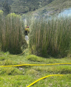 El Cuerpo de Bomberos de Guano respondió de manera oportuna a una alerta por incendio forestal registrada en el sector Los Elenes, una zona rural donde persisten prácticas de quema no controlada de vegetación que representan un riesgo constante para la seguridad comunitaria y el entorno natural.