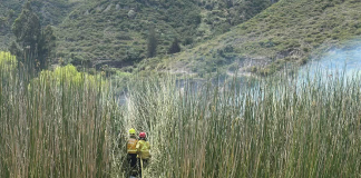 El Cuerpo de Bomberos de Guano respondió de manera oportuna a una alerta por incendio forestal registrada en el sector Los Elenes, una zona rural donde persisten prácticas de quema no controlada de vegetación que representan un riesgo constante para la seguridad comunitaria y el entorno natural.