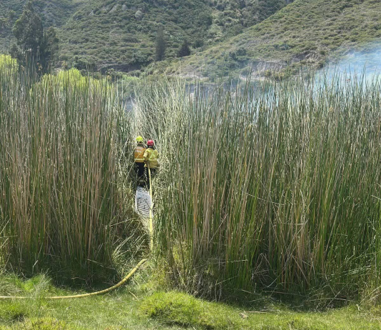 El Cuerpo de Bomberos de Guano respondió de manera oportuna a una alerta por incendio forestal registrada en el sector Los Elenes, una zona rural donde persisten prácticas de quema no controlada de vegetación que representan un riesgo constante para la seguridad comunitaria y el entorno natural.