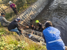 La muerte de dos menores, de 5 y 6 años, fue confirmada el 11 de diciembre en la comunidad Pull Chico, Guamote, donde ambos cayeron en un reservorio comunitario. El caso está en investigación y Medicina Legal determinará la causa exacta del fallecimiento. De acuerdo con la información inicial, los menores se encontraban jugando en las inmediaciones del reservorio cuando, por causas que aún no han sido esclarecidas, terminaron dentro del tanque.