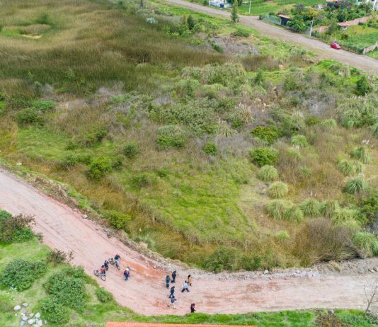 La Alcaldía de la Gente avanza en un conjunto de acciones destinadas a la recuperación y protección de la Laguna de San Antonio de Padua, ubicada en la parte posterior de la Universidad Nacional de Chimborazo, en la vía a Guano. Esta intervención forma parte del compromiso municipal con la defensa de los derechos de la naturaleza y la preservación de los espacios ambientales del cantón.