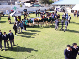 El Instituto Superior Tecnológico Carlos Cisneros (ITES) desarrolló la Feria Académica Cisneros 2025, un espacio destinado a la socialización de los avances académicos, investigativos y tecnológicos alcanzados por estudiantes y docentes durante el actual período lectivo. El evento se llevó a cabo en el Campus SECAP, ubicado en la avenida Antonio Santillán y Evangelino Calero, donde la comunidad educativa y ciudadanía pudieron conocer de cerca los resultados del trabajo formativo que impulsa la institución.