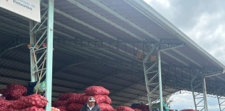 La Empresa Pública Municipal Mercado de Productores Agrícolas San Pedro de Riobamba (EP-EMMPA) anunció una convocatoria pública dirigida a la ciudadanía interesada en acceder al arrendamiento de varios espacios de comercialización, conforme a la normativa vigente.