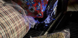 El caso que inició con una alerta breve y casi anónima terminó convirtiéndose en una de las sentencias más fuertes emitidas en Chimborazo por tráfico de droga en gran escala. El Tribunal de Garantías Penales de Riobamba condenó a 22 años de prisión a David A. U., hallado culpable de trasladar 23,9 kilos de marihuana en una camioneta que circulaba por la zona norte de la ciudad.