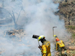 Los Bomberos de Guano enfrentaron una intensa jornada al atender tres incendios forestales registrados en distintos sectores y horarios del cantón, emergencias que se activaron en la mañana, tarde y noche y que obligaron al despliegue de varias unidades operativas, el pasado 7 de diciembre.