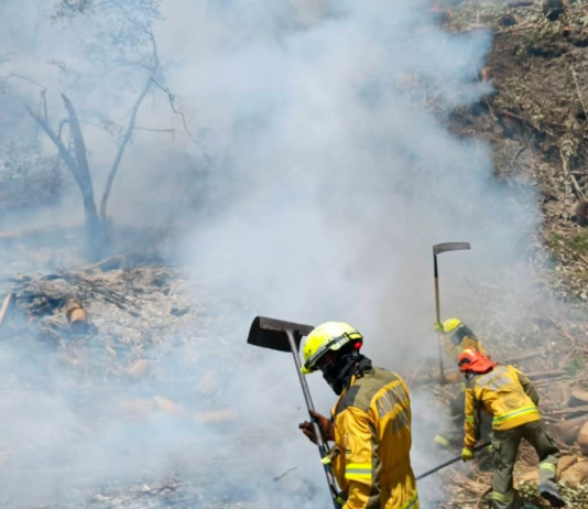 Los Bomberos de Guano enfrentaron una intensa jornada al atender tres incendios forestales registrados en distintos sectores y horarios del cantón, emergencias que se activaron en la mañana, tarde y noche y que obligaron al despliegue de varias unidades operativas, el pasado 7 de diciembre.