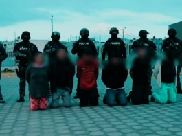 La Policía Nacional ejecutó este 11 de diciembre, el operativo “Encuentro 140”, una intervención planificada para combatir el microtráfico en una de las zonas de mayor afluencia y riesgo de la ciudad: los alrededores del Terminal Terrestre.