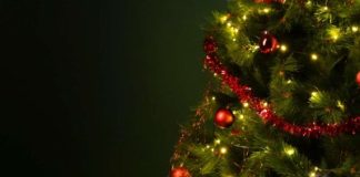 Según el Operador Nacional de Electricidad (CENACE), la demanda nacional aumenta entre 10% y 15% durante las fiestas, un salto estacional que volvió a encender alertas en 2024, cuando el país alcanzó uno de sus consumos más altos del año: 4.800 megavatios, el equivalente al uso simultáneo de más de cuatro millones de hogares.