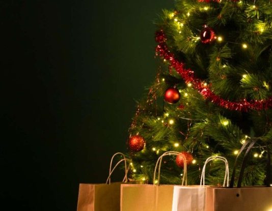 Según el Operador Nacional de Electricidad (CENACE), la demanda nacional aumenta entre 10% y 15% durante las fiestas, un salto estacional que volvió a encender alertas en 2024, cuando el país alcanzó uno de sus consumos más altos del año: 4.800 megavatios, el equivalente al uso simultáneo de más de cuatro millones de hogares.