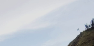 Un momento de recreación terminó convirtiéndose en un episodio de alto riesgo en las laderas del río Chambo, este 7 de diciembre, en el sector Guanando, donde un joven que intentó cruzar el afluente nadando quedó atrapado en una pequeña isla natural luego de que el caudal aumentara repentinamente y le impidiera volver a la orilla.