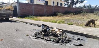 El Municipio de Riobamba, presentó la respectiva denuncia tras constatar la quema total de un contenedor de basura que se encontraba en pleno funcionamiento en el sector de la urbanización Los Manzanares. El hecho se habría producido durante las celebraciones de fin de año y dejó como resultado únicamente un montón de cenizas, evidenciando un grave daño al patrimonio público.