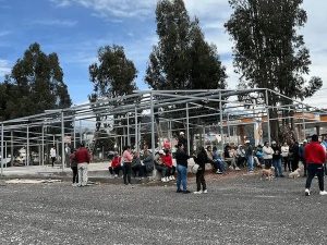 La nueva Plaza de Rastro de Calpi, ubicada en el cantón Riobamba, alcanzaría su operatividad en el mes de marzo, de acuerdo con información oficial del Municipio. La obra registra actualmente un 85 % de avance, lo que confirma que el proyecto se encuentra en su etapa final y próximo a beneficiar a comerciantes y usuarios del sector.