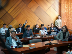 El Concejo Municipal de Ambato aprobó, en sesión ordinaria, la declaratoria de regularización prioritaria de varios asentamientos humanos de hecho ubicados en parroquias rurales del cantón, como parte de la aplicación de la Ordenanza que permite ejecutar el Plan Masivo de Regularización de Tierras.